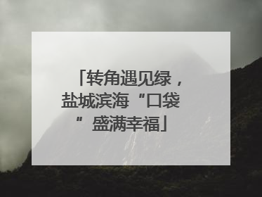 转角遇见绿，盐城滨海“口袋”盛满幸福